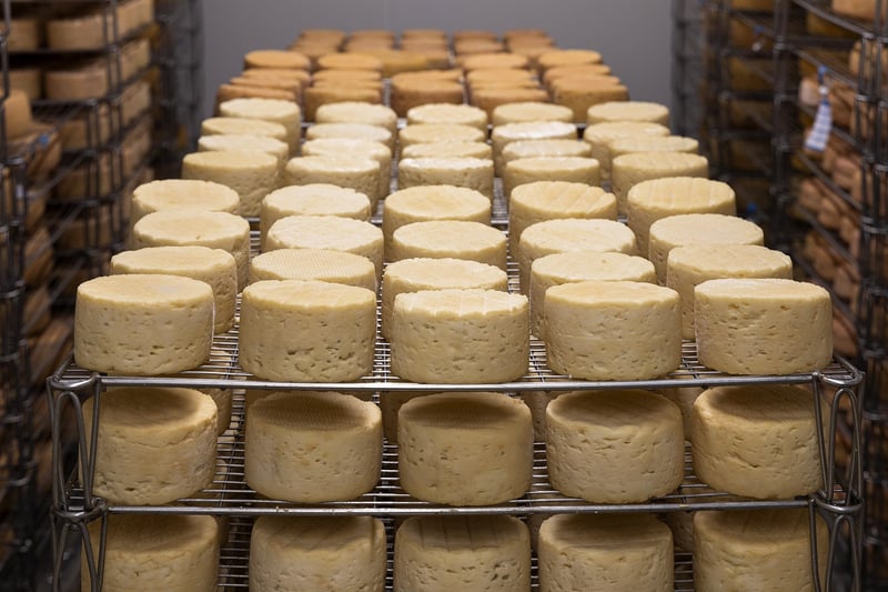 Cheese and Wine Tasting
