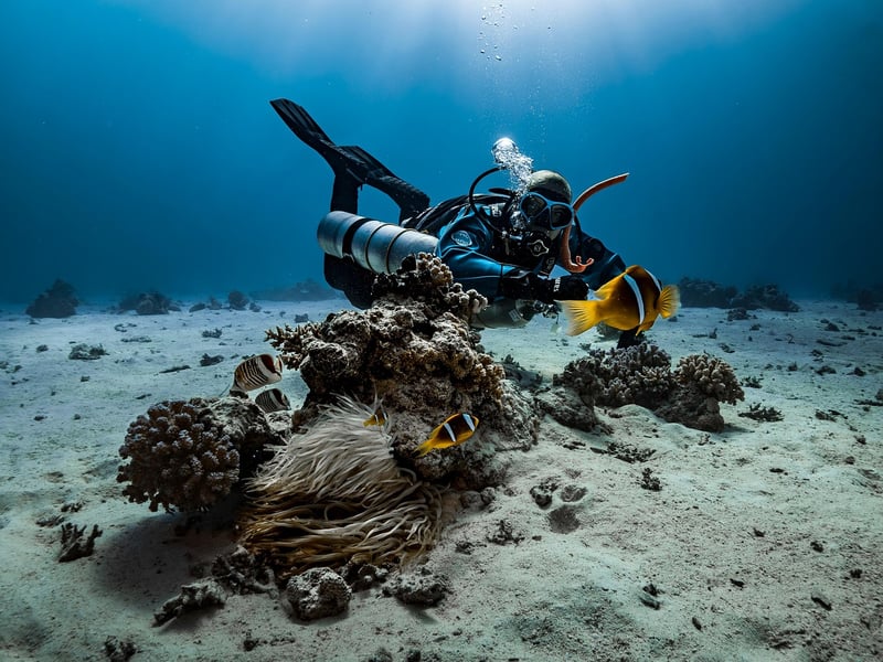 Chumbe Island Coral Park
