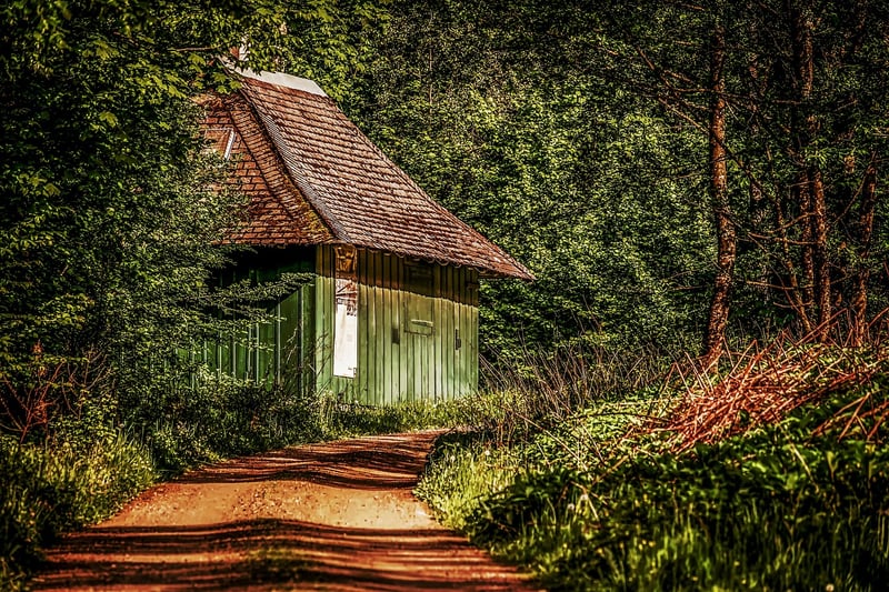 Treehouse Lodge